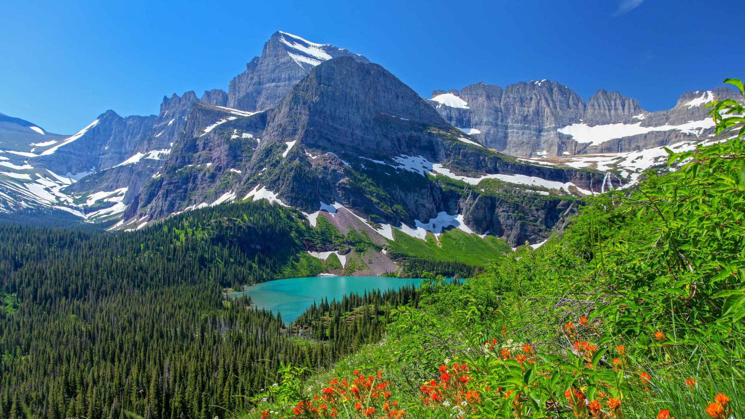 travel packages montana