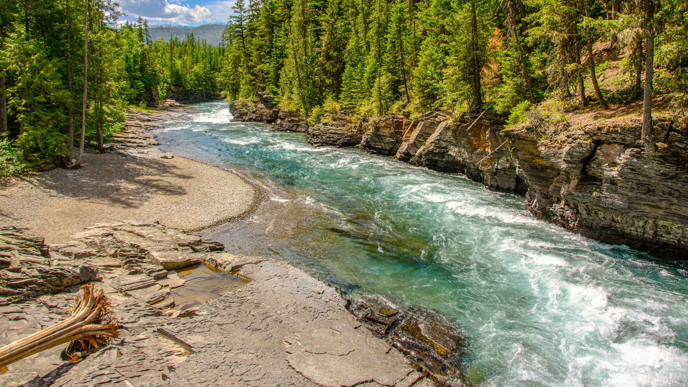 Nationalparks & Naturwunder Middle Fork Flathead River GetYourGuide