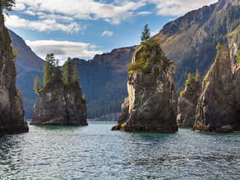 Kenai Fjords National Park Tours & Tickets