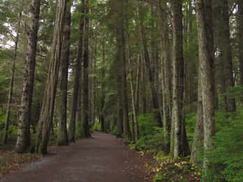 Sitka National Historical Park Tours & Tickets