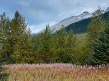 Klondike Gold Rush National Historical Park Tours & Tickets