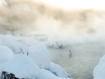 Chena Hot Springs Tours & Tickets