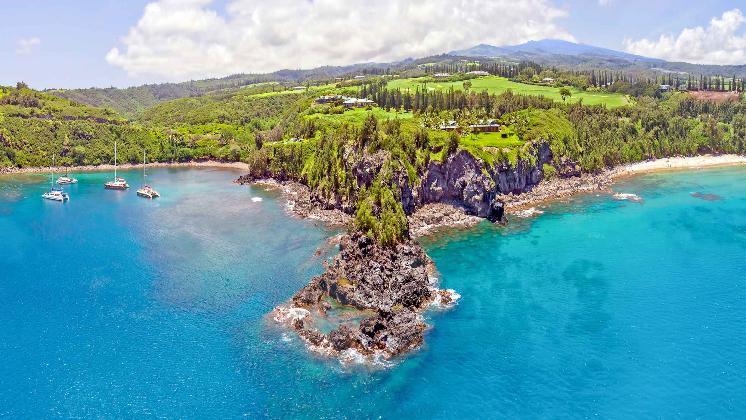 Honolua Bay, Maui Book Tickets & Tours GetYourGuide