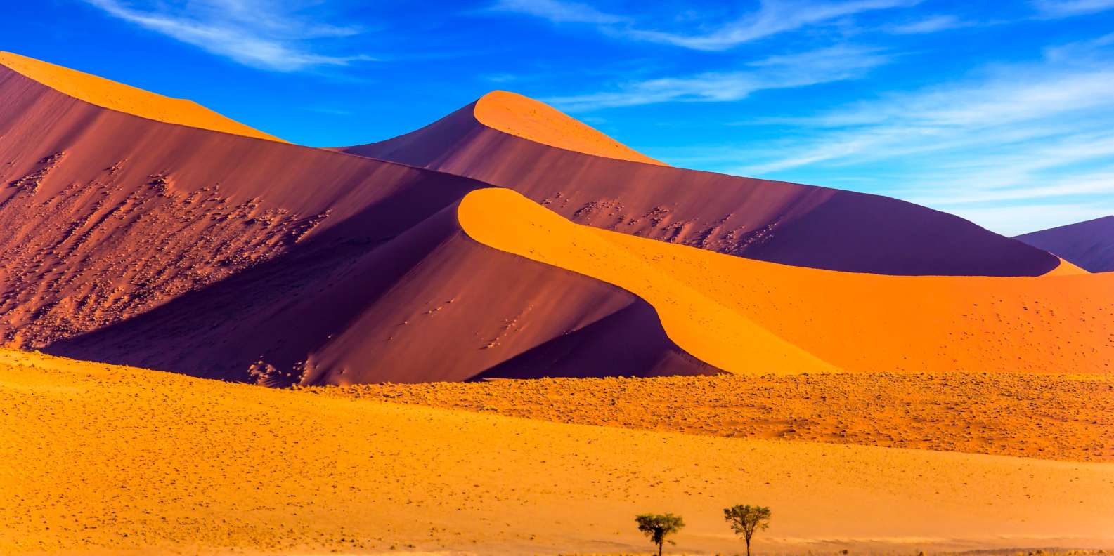 The BEST Namibia National parks 2024  FREE Cancellation GetYourGuide