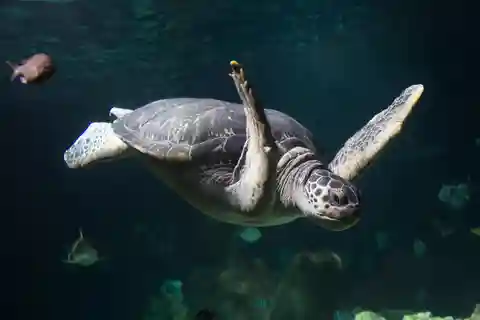 8. SEA LIFE Konstanz