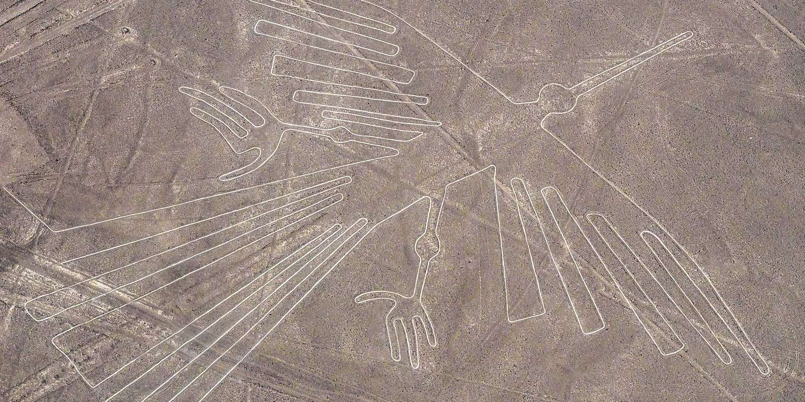 Beste Bootsfahrten Nazca Linien Kostenlos Stornierbar Getyourguide