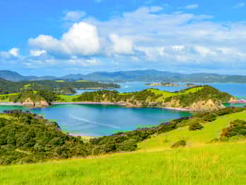 Paihia Matkat ja Liput