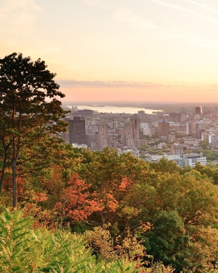 Mont Royal