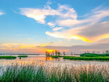 Mississippi River Tours & Tickets