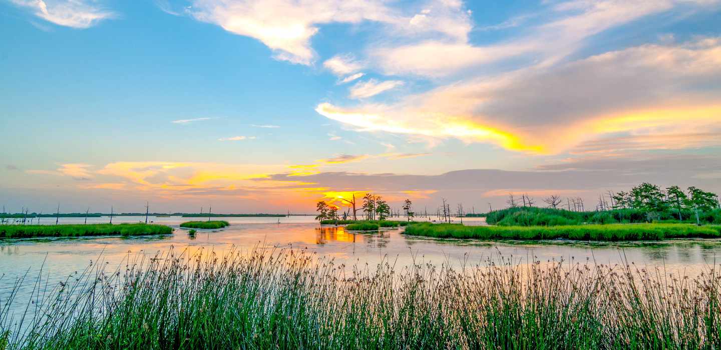 Río Misisipi Parques nacionales: lo MEJOR de 2024 - Cancelación GRATIS ...
