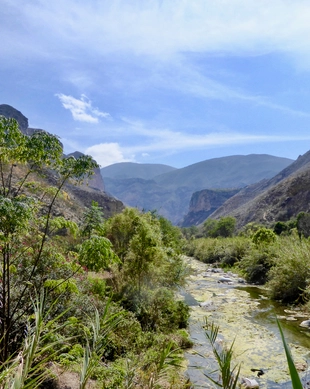 Reserva de la Biósfera Sierra Gorda