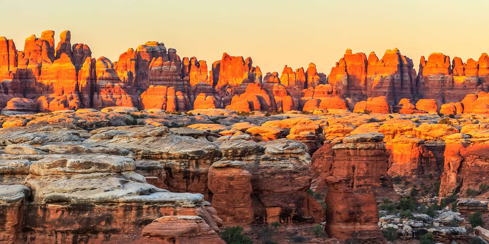 The BEST Canyonlands National Park Needles District Private Tours 2023 the-best-canyonlands-national-park-needles-district-private-tours-2023