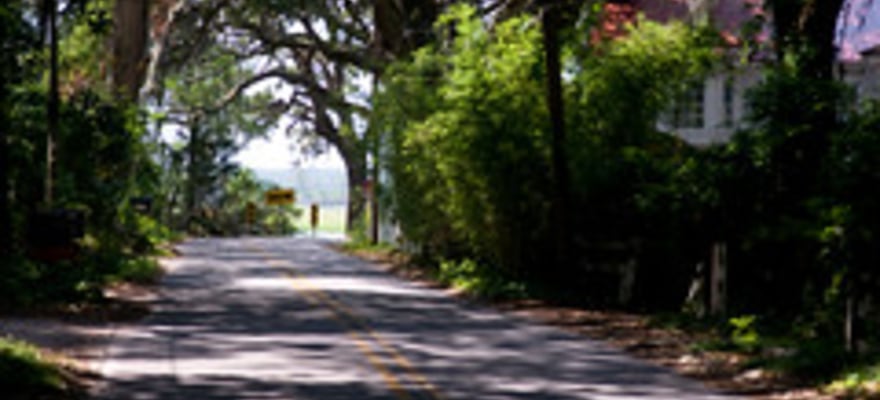 Wormsloe Historic Site Attivit Estive Il Meglio Del