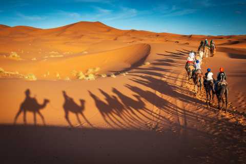 The BEST Merzouga Jeep & 4WD tours 2022 - FREE Cancellation | GetYourGuide