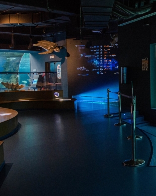 Tickets for the Cretaquarium Heraklion From €8 - Guide 2024 - Q&A