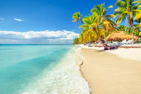 Dominican Republic: Plantation & farm tours