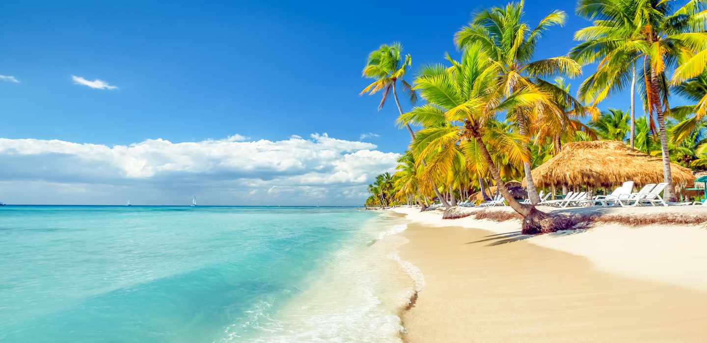 The BEST Dominican Republic Nightlife & bars 2024 FREE Cancellation