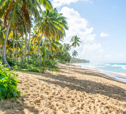 Travelers recommend
