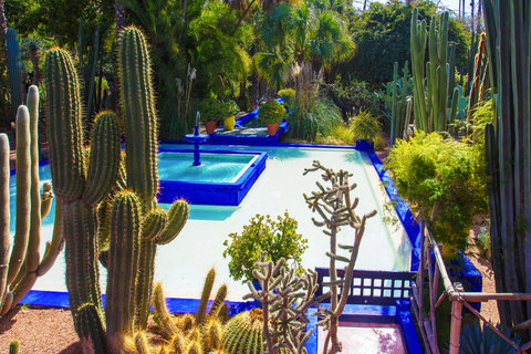 Cactus Thiemann, Marrakech Tickets & Tours
