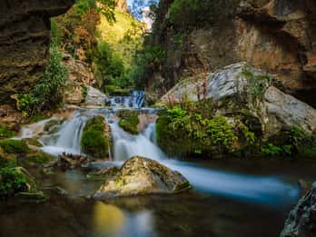 Gran cascada de Akchour: Tours y Entradas
