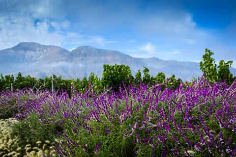 The best Casablanca-Settat Outdoor activities 2026 - Free cancellation