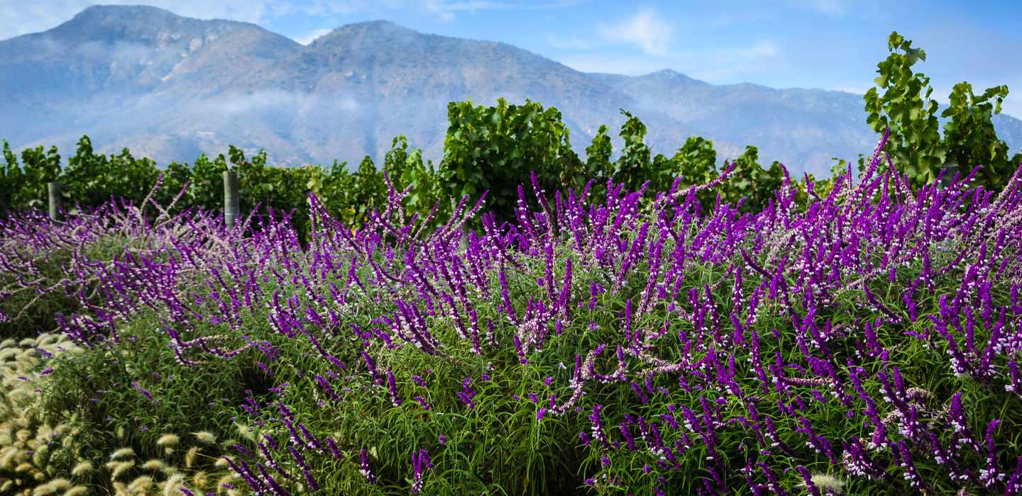 BESTE Sehenswürdigkeiten und Denkmäler CasablancaSettat 2024