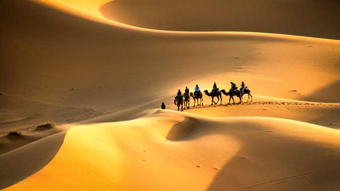 Sahara 2021: Top 10 tours en activiteiten (met foto&#39;s) - Dingen om te doen in Sahara, Marokko | GetYourGuide
