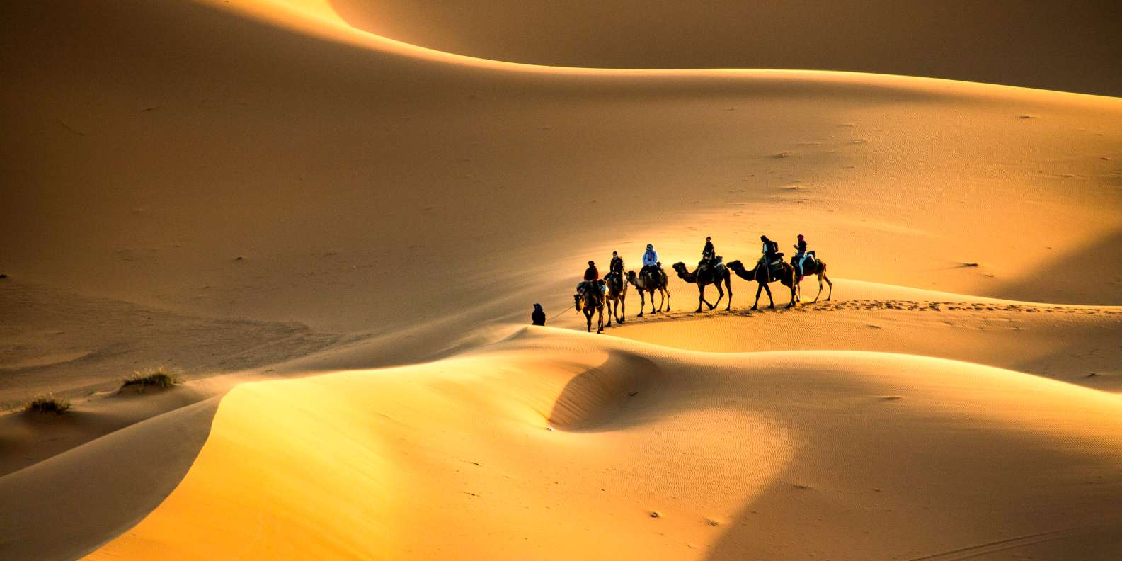 MEJORES actividades y cosas que ver en Desierto del Sáhara en 2023, cancelación GRATIS | GetYourGuide