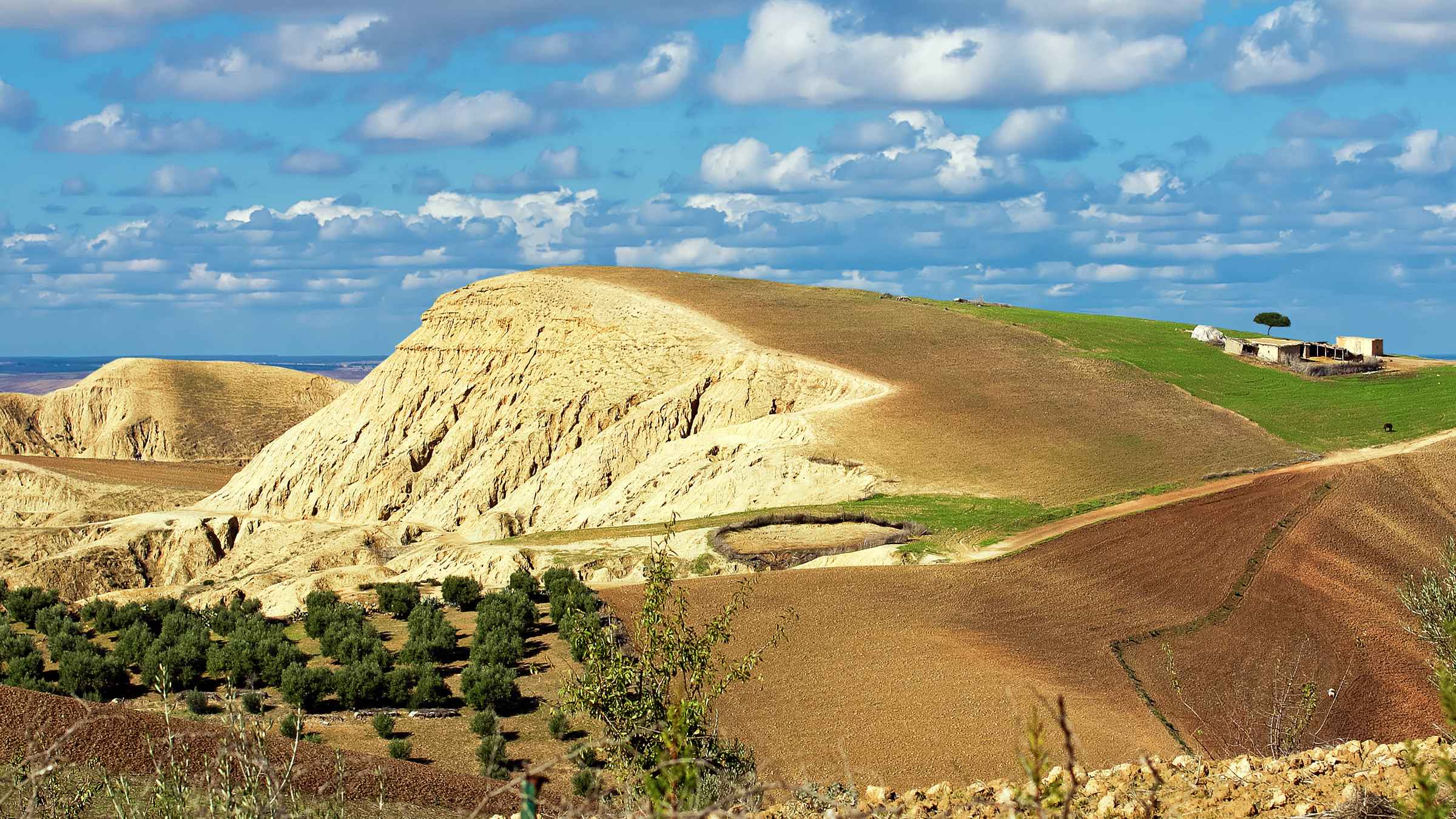 Nationalparks MeknèsTafilalet GetYourGuide