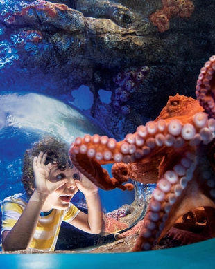 Aquatica Orlando