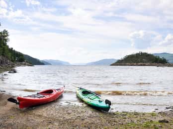 Saguenay-St-Lawrence Marine Park Tours & Tickets