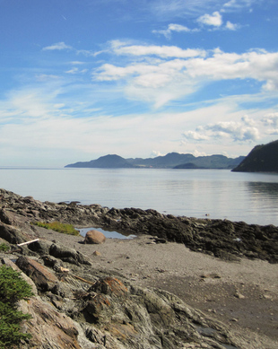 St Lawrence River, Quebec - Book Tickets & Tours | GetYourGuide