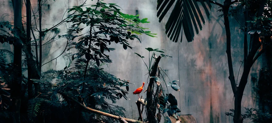 Biodôme de Montreal