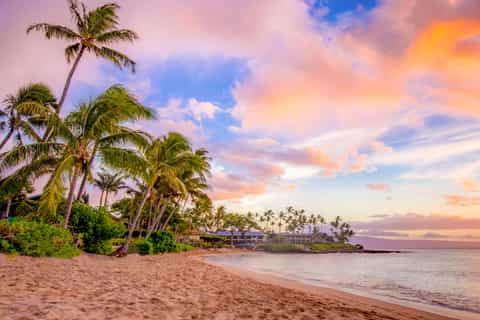 Maui: Deals & discounts