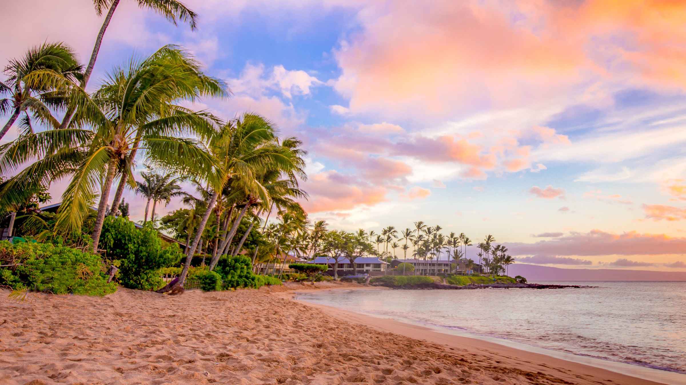 Maui Sightseeing Tours GetYourGuide