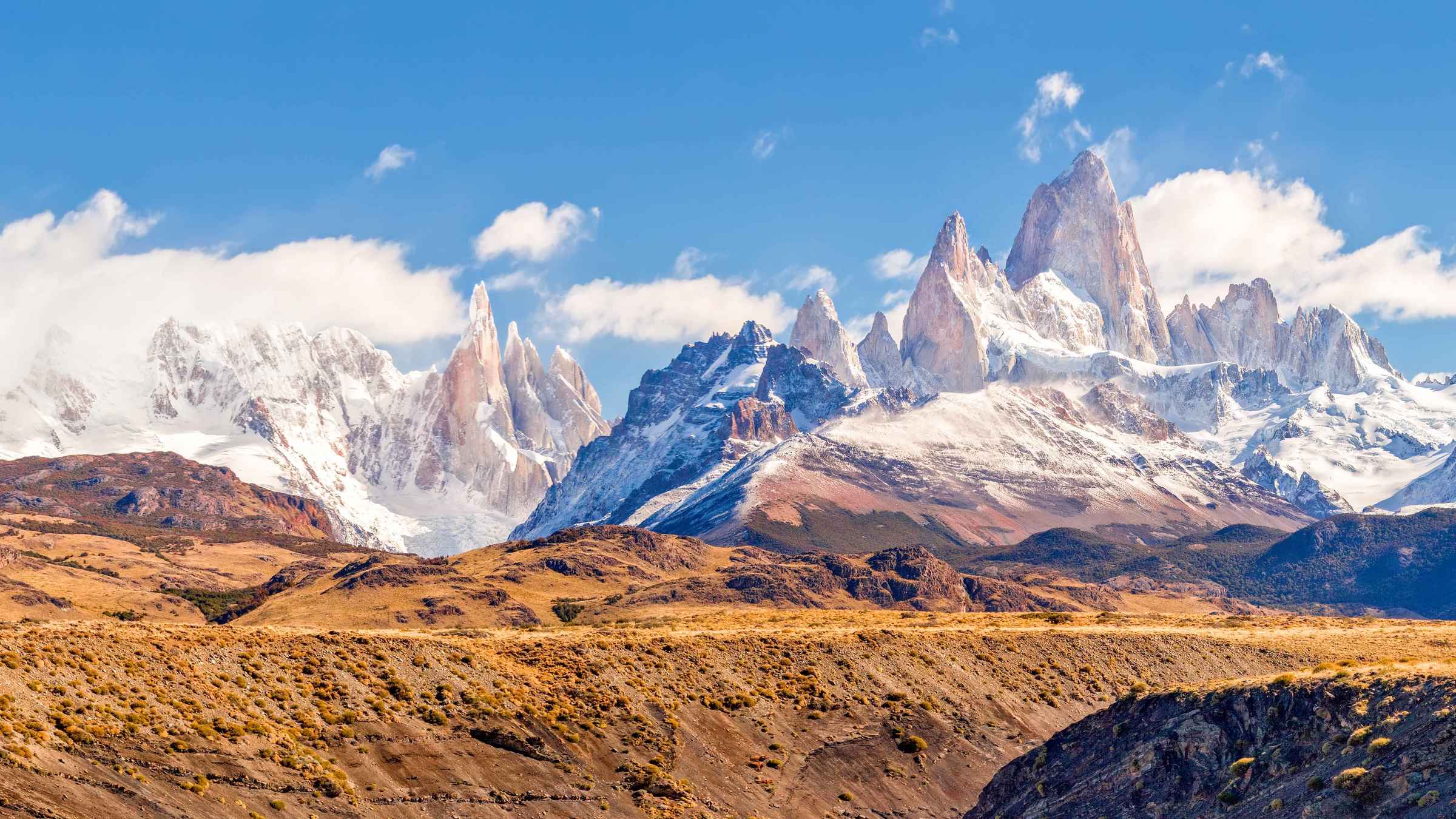 looking for wild fitz roy