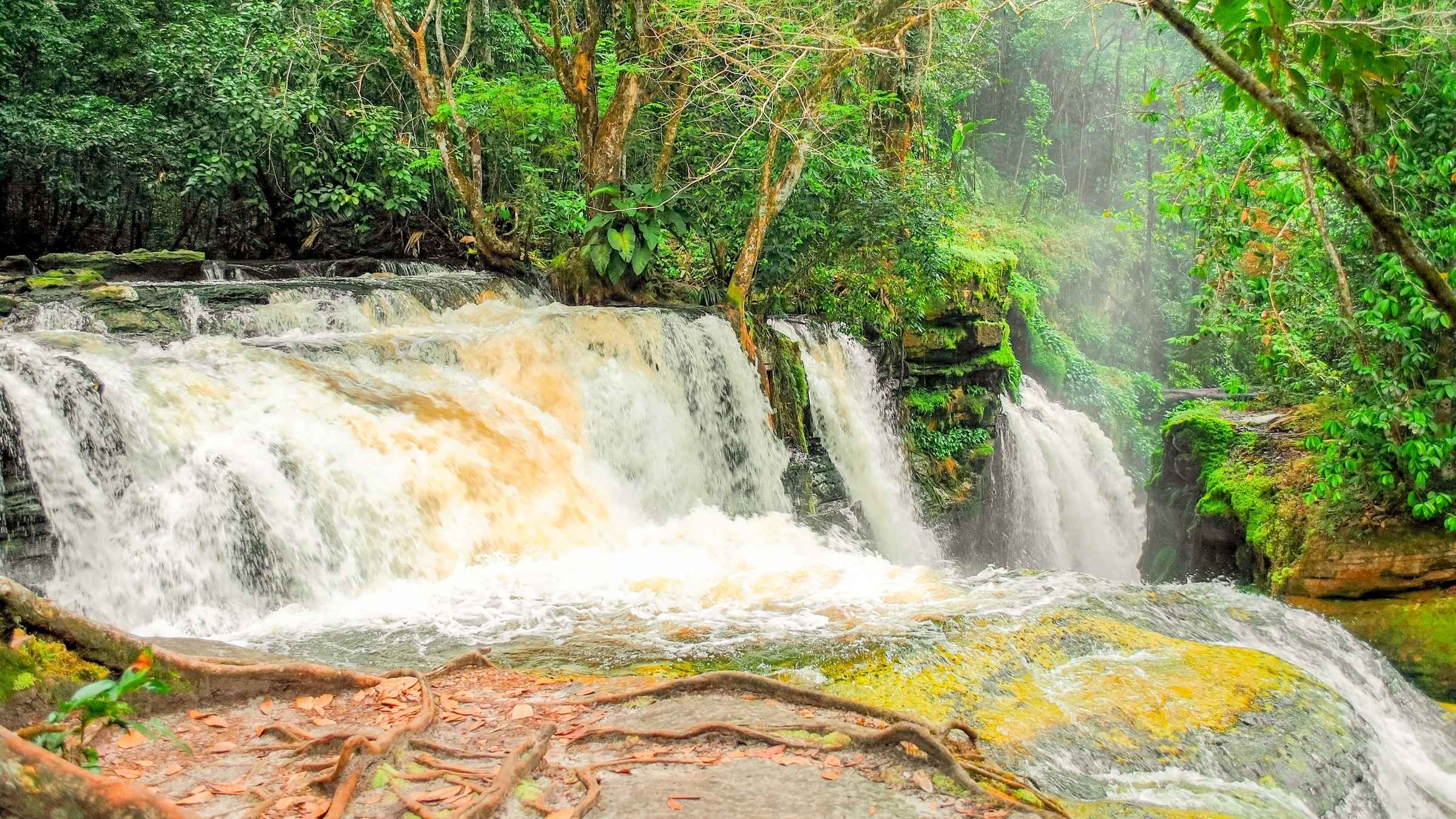 Desde Presidente Figueiredo las 10 mejores excursiones de 1 día del