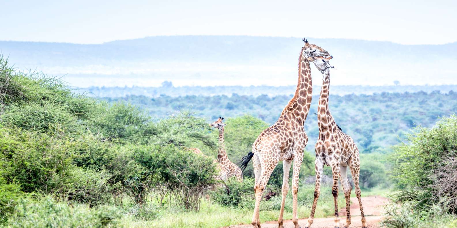 the-best-mpumalanga-activities-for-couples-2023-free-cancellation