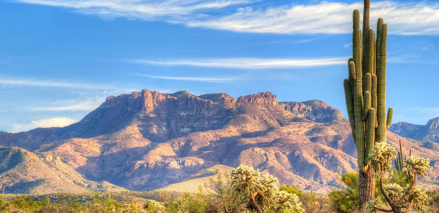 The BEST Sonoran Desert Self-guided activities 2023 - FREE Cancellation ...