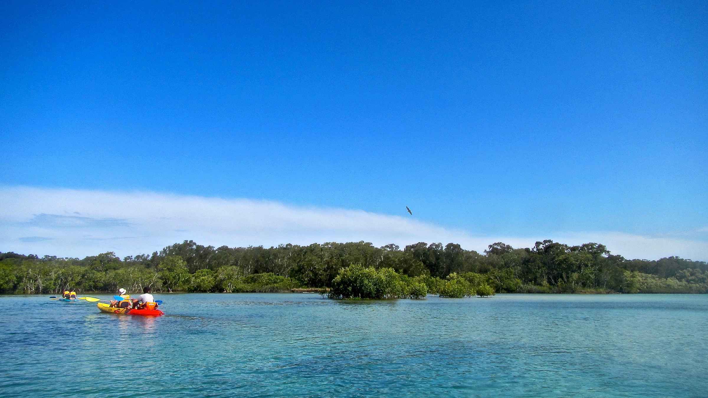 Brunswick River, Byron Bay Book Tickets & Tours GetYourGuide