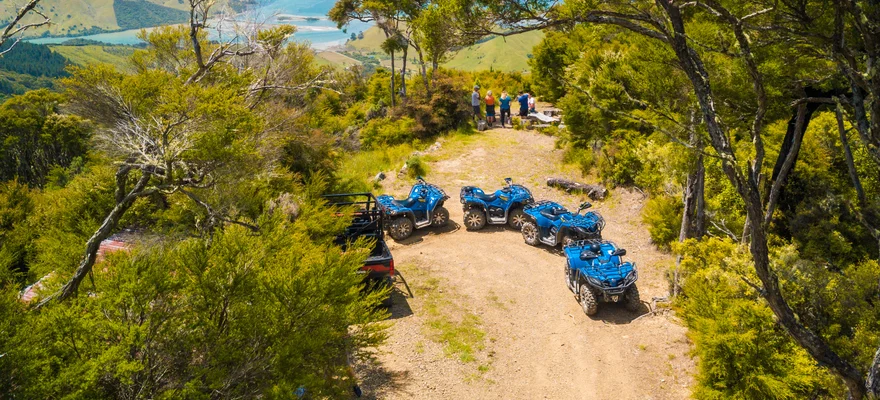 Cable Bay Adventure Park