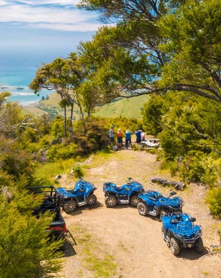 Cable Bay Adventure Park