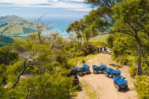 3. Cable Bay Adventure Park