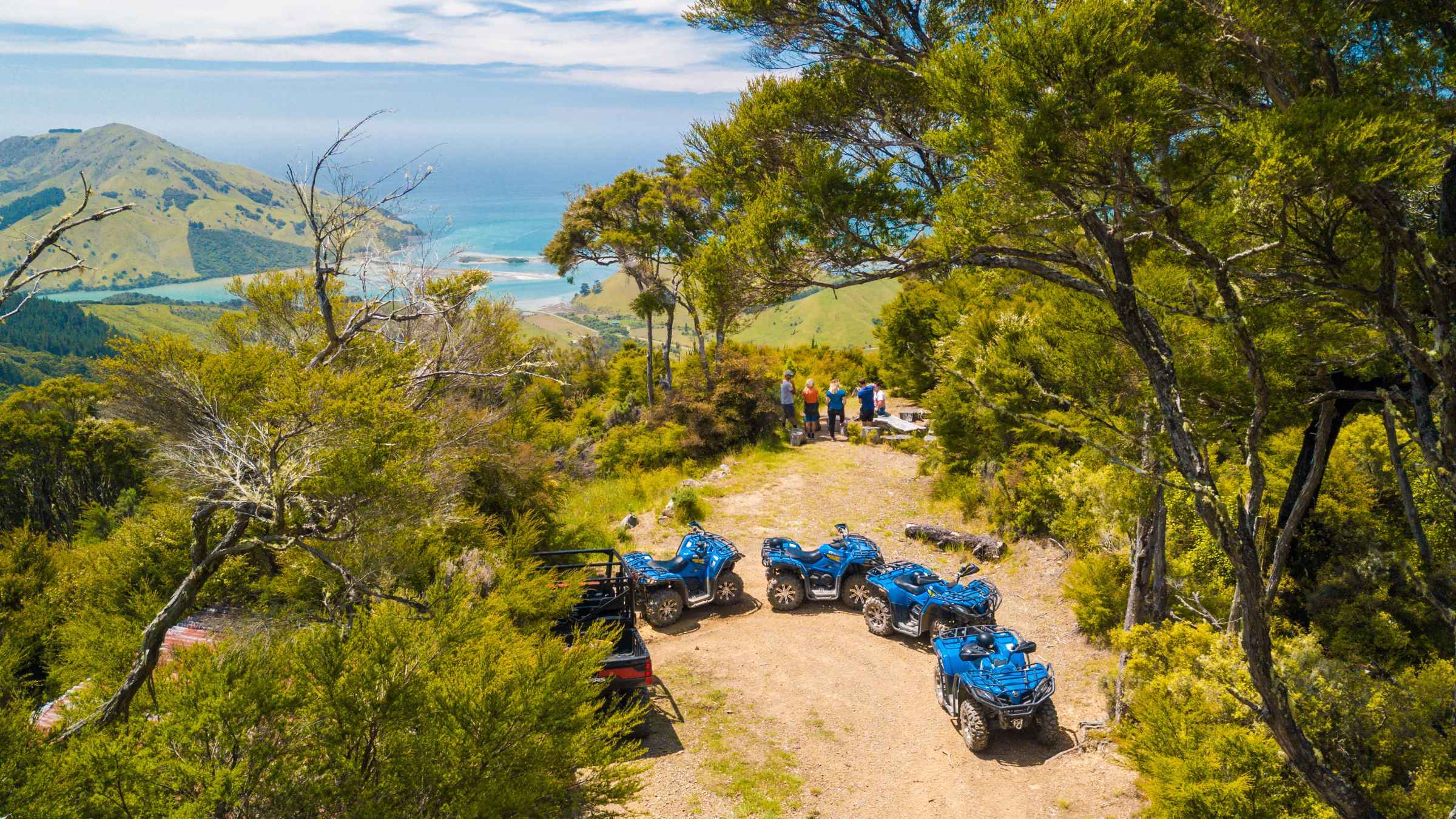 Cable Bay Adventure Park Die besten Bus & MinivanTouren 2021 Top
