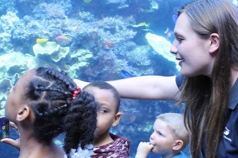 Georgia Aquarium