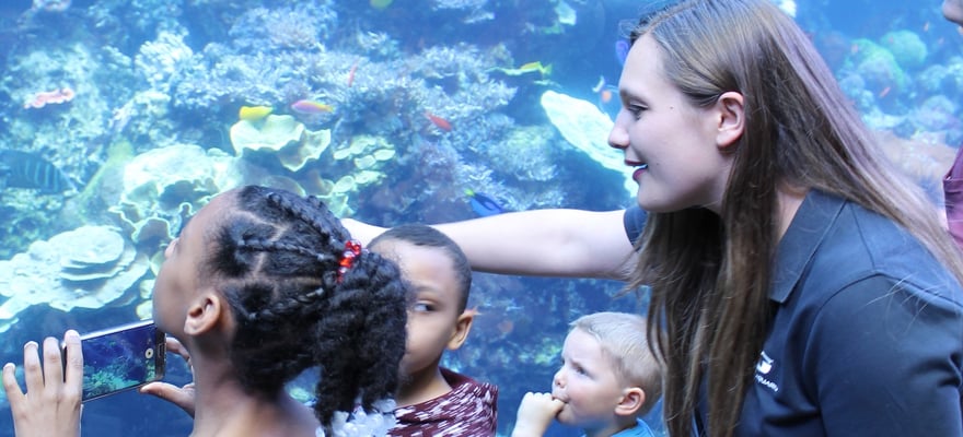 Aquarium de Géorgie, Atlanta