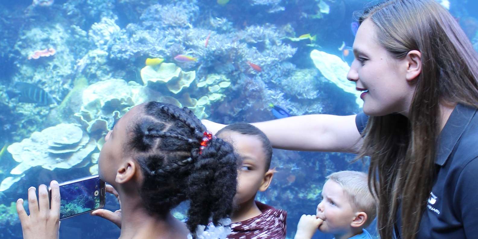 The BEST Aquarium, Atlanta Zoos & aquariums 2023 FREE Cancellation GetYourGuide