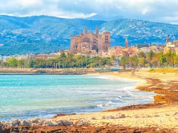 The BEST Palma de Mallorca Tours and Things to Do in 2022 - FREE ...