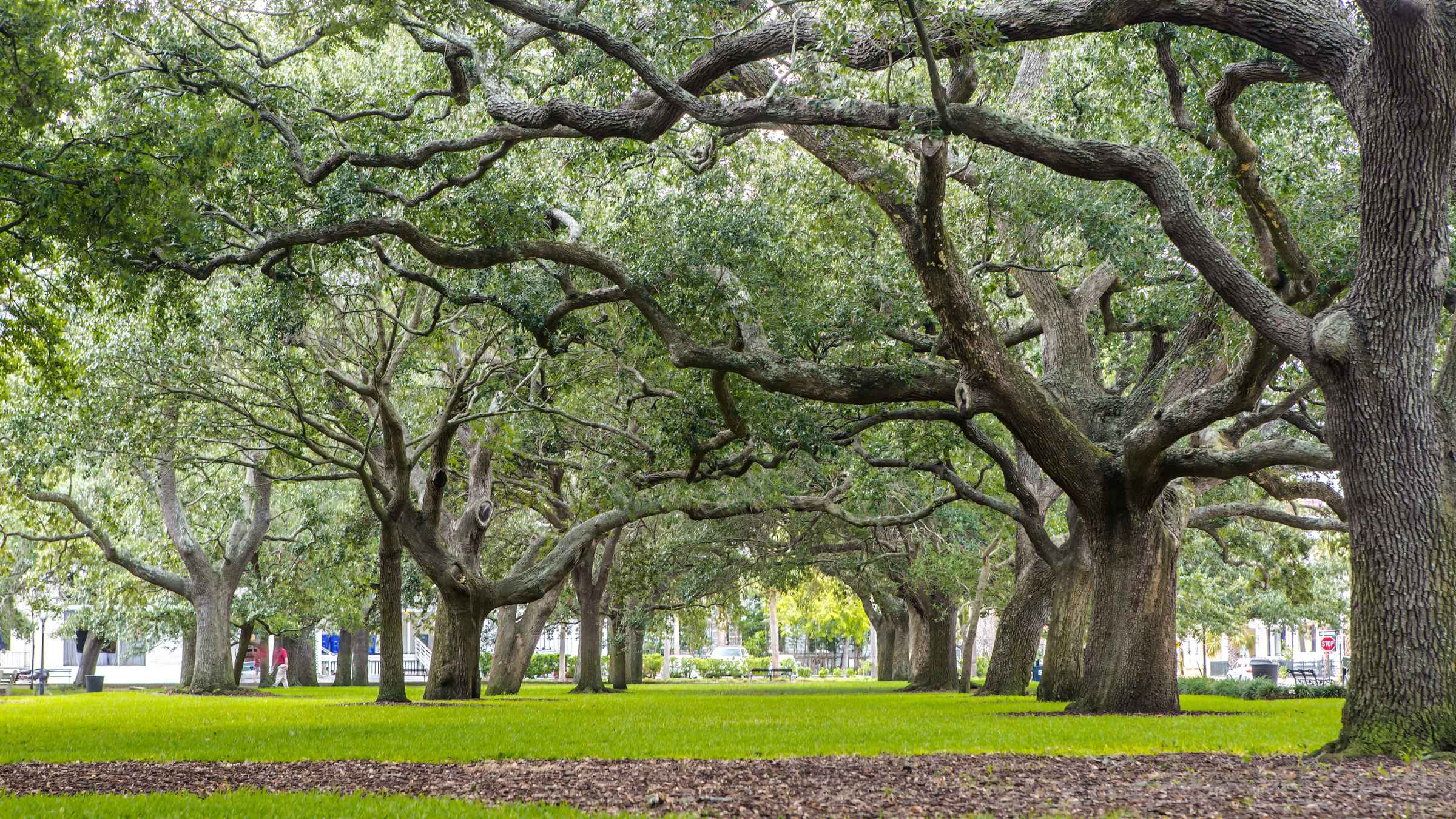 White Point Garden i Charleston Bestil billetter til dit besøg Get