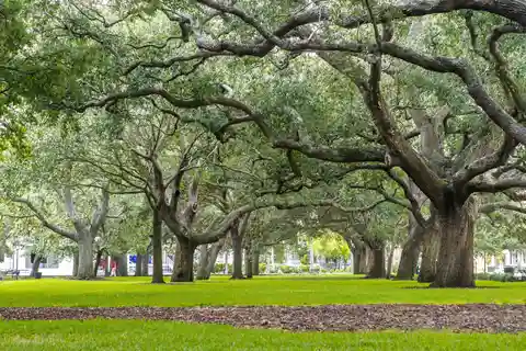8. White Point Garden